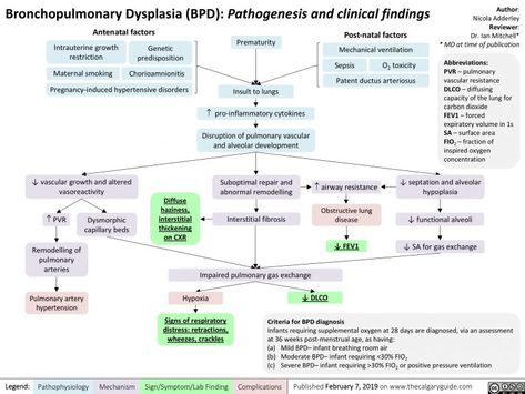 Bronchopulmonary Dysplasia (BPD): Pathogenesis and clinical findings | Calgary Guide Bronchopulmonary Dysplasia, Patent Ductus Arteriosus, Mechanical Ventilation, Travel Nursing, Carbon Dioxide, Calgary, Nursing, Travel