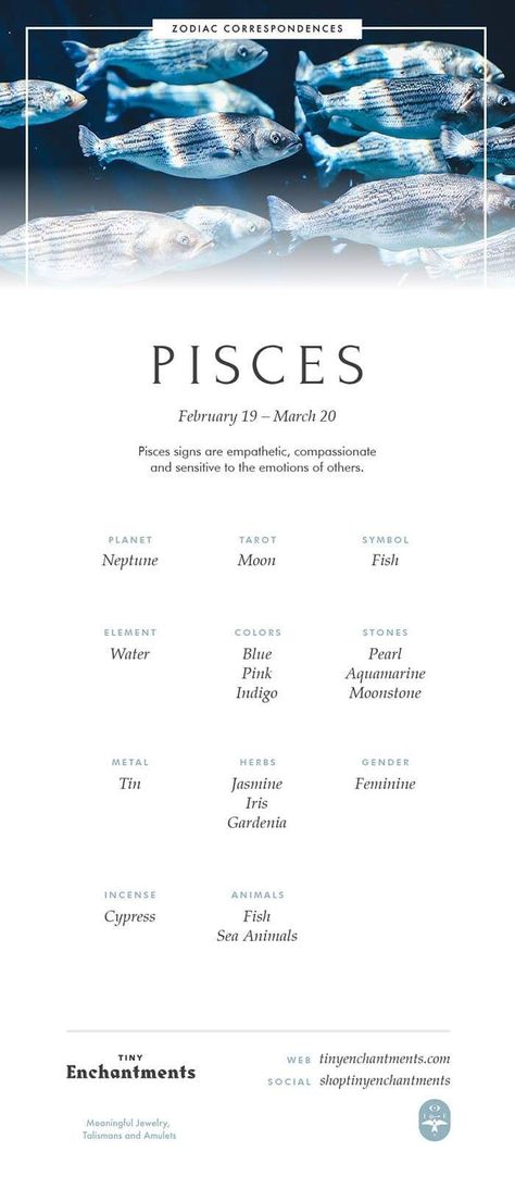 Zodia Pești, Pisces Signs, Pisces Symbol, Pisces Personality, Pisces Traits, Pisces Zodiac Sign, Pisces Girl, Pisces Quotes, Astrology Pisces