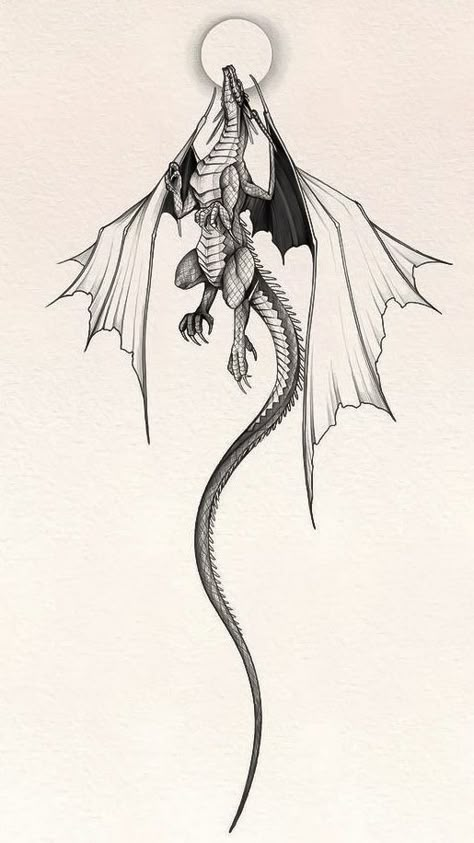 Wyvern Illustration, The Thirteen Tog Tattoo, Dragon Sketch Tattoo, European Dragon Tattoo, Game Of Thrones Tattoo Ideas, Wyvern Tattoo, Dragon Tattoo Drawing, Sketch Tattoos, Dragon Tattoos For Men