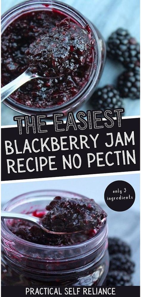 This Easy Blackberry Jam Recipe No Pectin is a great way to start canning blackberries. Preserve the natural flavors of fresh blackberries in jars of sweet and tangy jam. Perfect for spreading on toast, scones, or using in your favorite recipes. Discover the joy of canning fruit and enjoy the taste of summer all year round. Elevate your jam-making skills and create a pantry staple with this simple blackberry jam canning recipe. Blackberry Jam No Pectin, Easy Blackberry Jam, Canning Blackberries, Creative Canning, Blackberry Jam Recipe, Homemade Blackberry Jam, Jam Canning, Blackberry Jam Recipes, Canning Jam Recipes