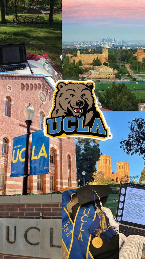 Ucla Wallpaper Aesthetic, Ucla Wallpaper, Berkley University, College Plan, Ucla University, Ucla College, Ucla Campus, University Inspiration, College Wallpaper