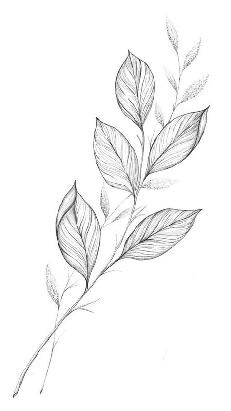 Vine Sketch Leaves, Fineline Nature Tattoo, Leave Tattoo Ideas, Leaves Design Drawing, Big Leaf Tattoo, Vine Drawing Tattoo, Floral Vine Drawing, Flower And Leaves Tattoo, Leaf Branch Tattoo