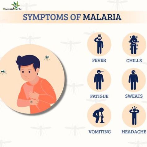 Symptoms of malaria Beware of the symptoms of malaria to take better care of yourself and those around you. - - - #Malaria #PreventMalaria #Symptoms #mealsforfatloss #fatlosstips #fatlossdietplan #fatlossworkoutsforwomen #fatlosscoffee #bodybuilding #fitness #gym #workout #fitnessmotivation #motivation #fit #training #gymlife Malaria Symptoms, Fat Loss Diet Plan, Fitness Gym Workout, Bodybuilding Fitness, Be Natural, Fitness Gym, Headache, Gym Workout, Gym Life