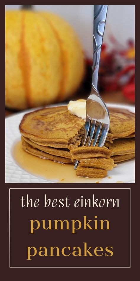 three einkorn pumpkin pancakes stacked with butter and syrup on top. a fork is picking up a bite pumpkin and leaves in the background. text in image says the best einkorn pumpkin pancakes Einkorn Pumpkin Pancakes, Einkorn Pumpkin Recipes, Einkorn Pancakes, Nom Nums, Einkorn Sourdough, Pumpkin Coffee Cake, Einkorn Recipes, Pumpkin Pancake Recipe, Pumpkin Coffee Cakes