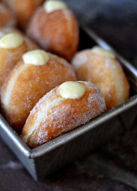 Meyer Lemon Cream Doughnuts | Airy yeast donuts, rolled in sugar and then filled with a creamy, tart Meyer lemon filling. Red Star Yeast, Yeast Donuts, Cottage Market, Lemon Filling, Doughnut Recipe, Delicious Donuts, Meyer Lemon, Lemon Cream, Donut Recipes