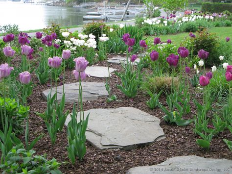 Rose Garden Pathway, Purple Flowers Garden, Flower Garden Design, Pink And Purple Flowers, Backyard Diy Projects, Garden Pathway, Spring Bulbs, Backyard Garden Design, Outdoor Inspirations