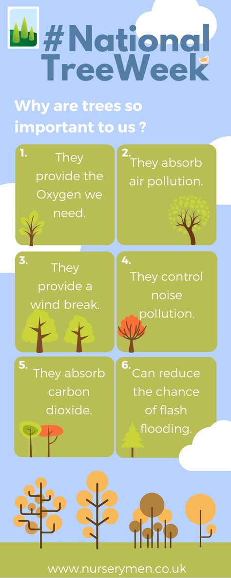 Why trees are so important to us. National Tree Day Activities For Kids, Adverbs Anchor Chart, Uses Of Trees, October Themes, Eco Club, Essay Writing Examples, Gardening Club, Importance Of Trees, Writing Examples