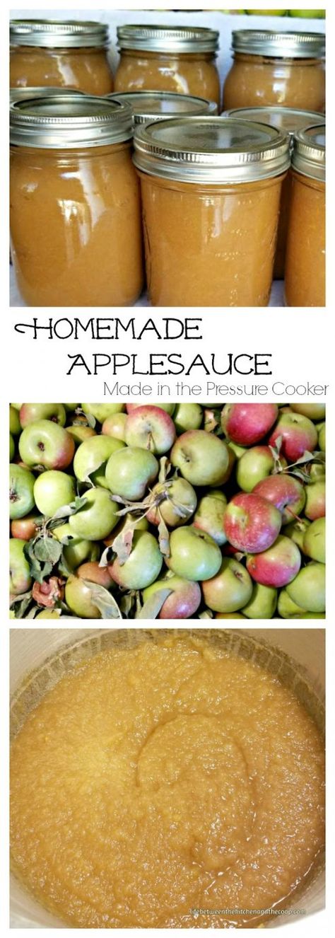 homemade applesauce How To Can Applesauce, Applesauce Recipes Canning, Can Applesauce, Fermenting Recipes, Make Applesauce, Canning Applesauce, Canned Applesauce, Canning Apples, How To Make Applesauce