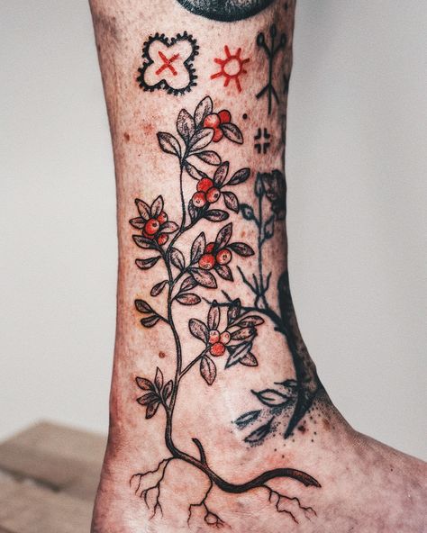 Little freehand filler session. Some lingonberries, cloudberries and folk patterns. #eestitattoo #tallinntattoo #berrytattoo #naturetattoo Elderberry Tattoo, Lingonberry Tattoo, Huckleberry Tattoo, Folk Tattoo, Tattoo Red, Nature Tattoos, Artist On Instagram, Tattoo Artist, Tattoo Artists