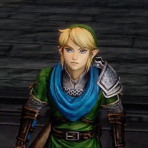 Hyrule Warriors Zelink, Link Hyrule Warriors, Hyrule Warriors Definitive Edition, Hyrule Warriors Zelda, Hyrule Warriors Link, Hyrule Warriors, Link Zelda, Zelda Art, Legend Of Zelda Breath