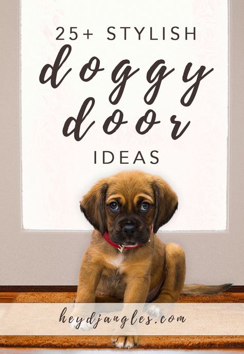 Dog Door Decoration, Doggie Door In Glass Door, Dog Doors Ideas, Doggie Door Ideas In Wall, Dog Door Ideas In Wall, Pet Door Ideas, Doggie Door Ideas, Dog Door Ideas, Diy Doggie Door