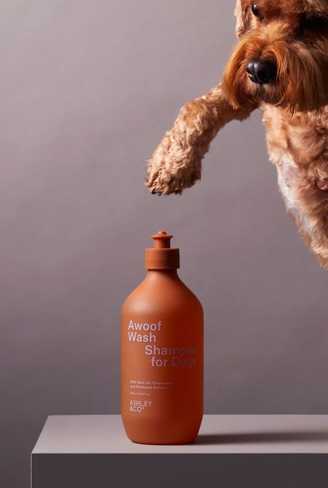 Dog Instagram Content Ideas, Shampoo Photoshoot, Advertising Campaign Design, Pampered Dogs, Pet Washing Station, Dog Spray, Dog Photoshoot, Product Shots, Dog Wash