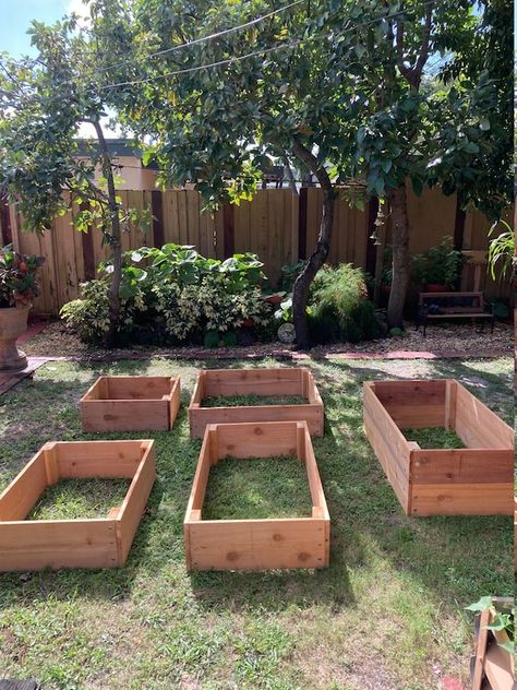 Vegetable Garden Beds, Cedar Raised Garden Beds, Cedar Planter Box, Vegetable Beds Raised, Cedar Garden, Cedar Planters, Planter Indoor, Vertical Planter, Food Appetizers