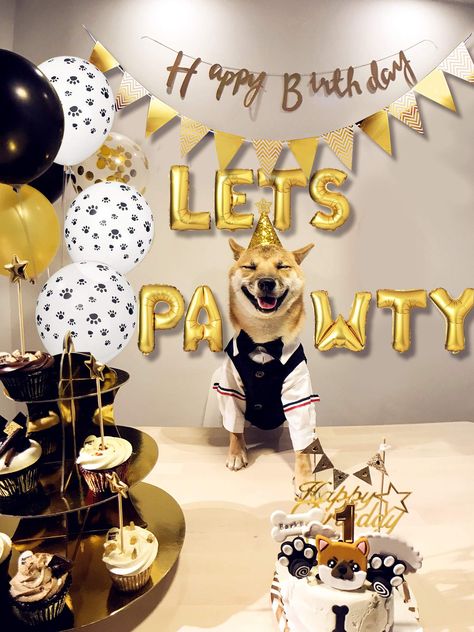 Legendog Dog Birthday Party Supplies Dog Paw Print Balloons Cat Birthday Hat Happy Birthday Banner Foil Balloons Lets Pawty Letters Balloons Decorations *** For more information, visit image link.-It is an affiliate link to Amazon. #dogcamerasandmonitors Dog Birthday Celebration, Dog Birthday Balloons, Dog Birthday Ideas Decorations, Pet Birthday Ideas, Dog Bday Party Ideas, Dog Birthday Decorations, Pet Birthday Party, Lets Pawty, Dog Party Decorations