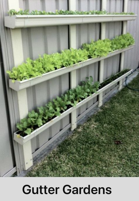 Caribbean Garden, Gutter Garden, Outdoor Herb Garden, Diy Raised Garden, Veg Garden, Home Vegetable Garden, Garden Yard Ideas, Vegetable Garden Design, Veggie Garden