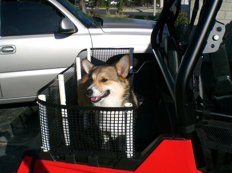 Pet Carrier for bed... - Polaris RZR Forum - RZR Forums.net Polaris Rzr Accessories, Polaris Side By Side, Rzr Accessories, Dog Motorcycle, Dog Car Travel, Trailer Conversion, Animal Ideas, Motorcycle Trailer, Dog Seat