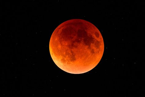 An epic total lunar eclipse is coming to the US this month Blood Moon Lunar Eclipse, Partial Eclipse, Moon Orbit, Travel Quiz, Eclipse Lunar, Eclipse Of The Heart, Moon Surface, Wolf Moon, Lunar Eclipse