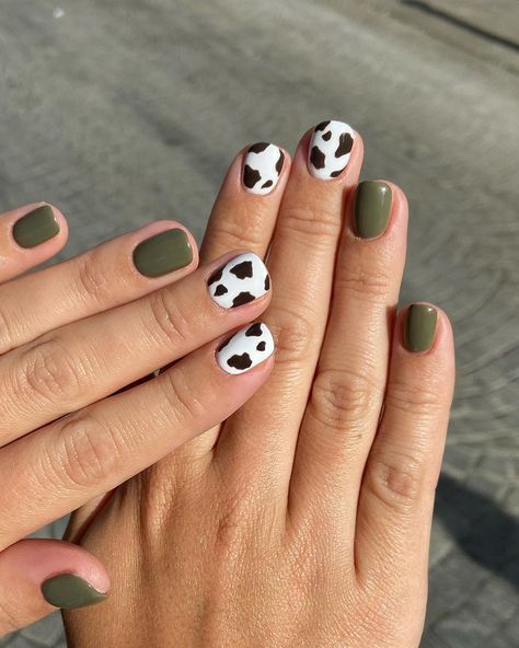 25 Cute Cow Nails You'll Love Green Nails Ideas, Cow Print Nails, Cowboy Nails, Western Nails, Country Nails, Cute Short Nails, Cow Nails, Spring Nail Designs, Cute Spring Nails