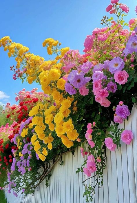 Flowers Landscape Aesthetic, Garden Full Of Flowers Aesthetic, Bright Floral Aesthetic, Vibrant Flowers Aesthetic, God Morning Quotes, Spring Aesthetic Flower Field, Flower Garden Aesthetic, Realistic Paper Flowers, Making Paper Flowers