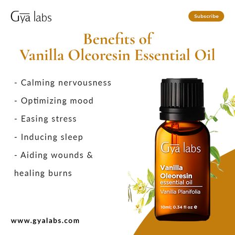 Image of Vanilla Oleoresin Essential Oil bottle with a vanilla bean on a wooden background. Text reads "Vanilla Oleoresin Essential Oil Benefits Oils For Tooth Ache, Dandruff Essential Oil, Rosemary Essential Oil Benefits, Clove Oil For Teeth, Benefits Of Rosemary Essential Oil, Rosemary Essential Oil For Hair, Immunity Essential Oils, Benefits Of Rosemary, Essential Oil For Hair