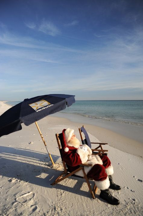 Aussie Christmas, Florida Christmas, Beachy Christmas, Beach Santa, Tropical Christmas, Beach Christmas, Beach Please, Coastal Christmas, Noel Christmas