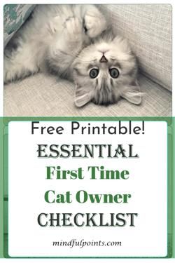 First Time Cat Owner Essential Checklist - Health & Wellness, Personal Development, Inspiration Kitten Checklist, Cat Checklist, Getting A Cat, First Time Cat Owner, Cat Problems, Best Cat Litter, Cat Nutrition, Cat Leash, Cat Care Tips