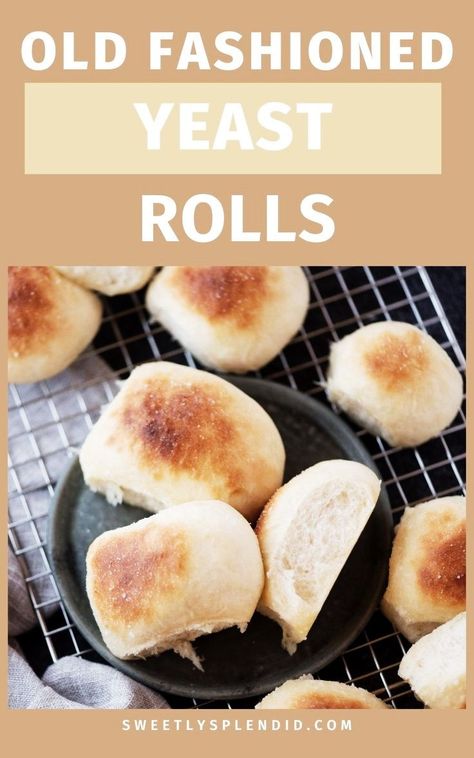 Bake delicious Homemade Yeast Rolls in just 60 minutes with our quick and easy recipe! No-fuss, old-fashioned dinner rolls made from scratch with active dry yeast – the perfect addition to your Thanksgiving feast. Old Fashioned Yeast Rolls Recipe, Sweet Yeast Rolls Recipe, Best Yeast Rolls, Buttery Dinner Rolls, Easy Yeast Rolls, Homemade Yeast Rolls, Thanksgiving Rolls, Yeast Rolls Recipe, No Yeast Dinner Rolls