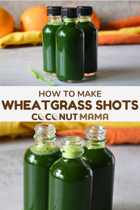 You can buy a wheatgrass shot at juice bars and health food stores, but did you know you can make them at home for a fraction of the cost? Rich in chlorophyll, amino acids, vitamins, and minerals, these simple shots can make a great addition to your wellness routine! Wheatgrass Shot Recipe, Simple Shots, Wheat Grass Shots, Juice Bars, Baking With Coconut Flour, Ginger Shot, Wellness Shots, Nut Milk Bag, Health Food Store