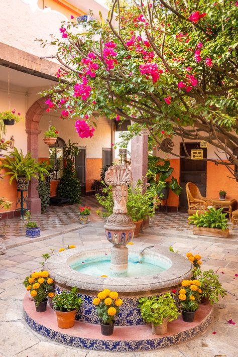 Old Mexico Aesthetic House, Mexican Garden Hacienda Style, Small Spanish House, Patio Mexicano, Mexican Backyard, Mexico Garden, Modern Mexican Decor, Style Hacienda, Mexican Style Decor