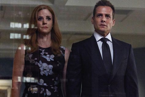 Suits: When Should Donna and Harvey Get Together? - Today's News: Our Take | TVGuide.com Donna And Harvey, Suits Harvey And Donna, Donna Harvey, Specter Suits, Suits Tv Series, Jay Harrington, Donna Paulsen, Suits Harvey, Alex Williams