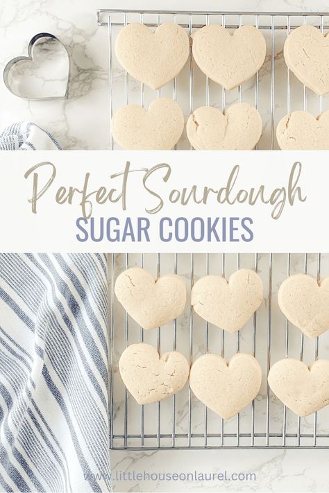 Perfect Sourdough Discard Sugar Cookies Cut-Outs Bread Business, Sourdough Cookies, Blueberry Zucchini Bread, Sourdough Discard Recipe, Blueberry Zucchini, Farming Lifestyle, Home Stead, Snacks To Try, Sourdough Bread Starter