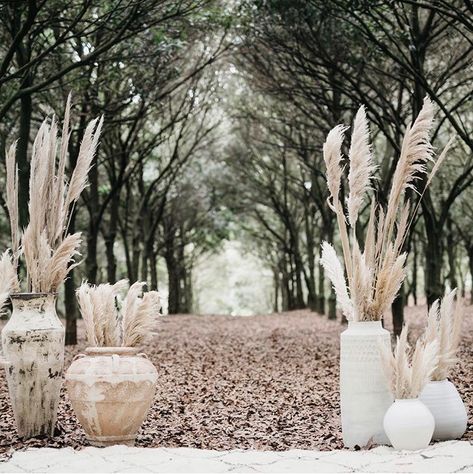 Karen Willis Holmes, Photos Booth, Pampas Grass, Ceremony Decorations, Wedding Themes, Future Wedding, Boho Wedding, Wedding Inspo, Outdoor Wedding