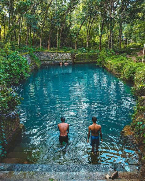 Bio Pool, Swimming Pond, Natural Swimming Pools, Natural Swimming Pool, Dream Pools, Natural Pool, Pool Designs, Backyard Pool, Kerala