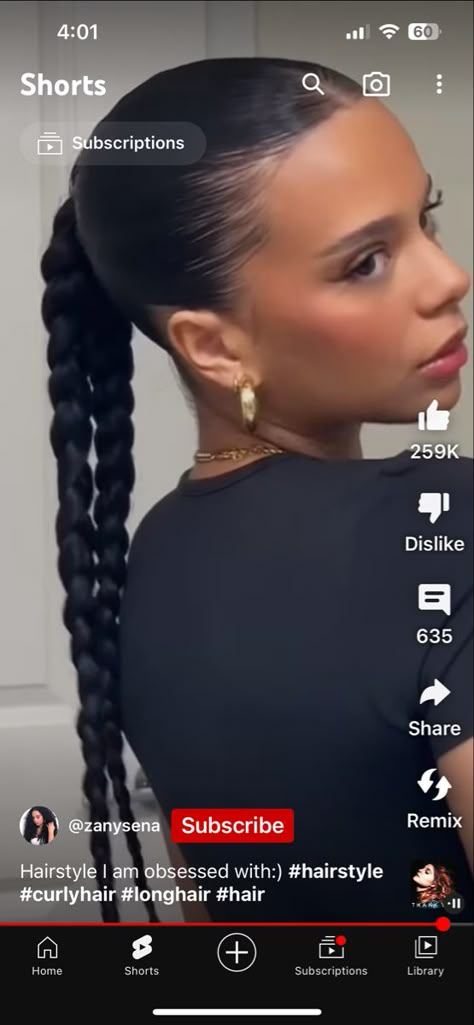 Braid With Pieces Out, One Pony Two Braids, Two Braids One Ponytail, Four Braid Ponytail, Two Braids In A Ponytail, High Ponytail Plait, Slickback Ponytail Braid, 4 Braid Ponytail Hairstyle, Slick Back Ponytail With Two Braids