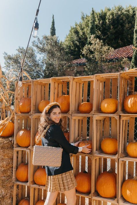 5 Best San Diego Pumpkin Patches. Pumpkin patch photo pose idea. Pumpkin patch photoshoot. Diy Pumpkin Display, Pumpkin Wagon Photoshoot, Pumpkin Patch Photo Props, Pumpkin Patch Set Up Ideas, Pumpkin Patch Photo Op Ideas, Pumpkin Patch Attractions, Diy Pumpkin Patch Decoration, Fall Festival Photo Booth Ideas, Pumpkin Patch Ideas Diy