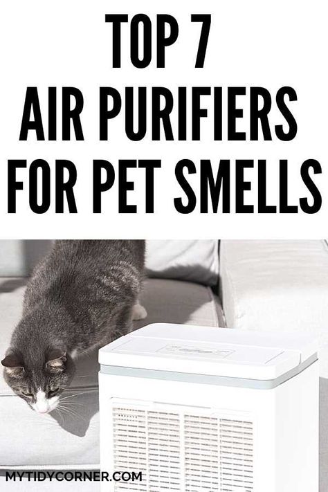 Best Air Purifier For Pets, Pet Odor Eliminator House, Cat Smell, Pet Urine Smell, Cat Liter, Non Toxic Cleaning, Pet Odor Remover, Cat Urine Smells, Ragdoll Cat Breed