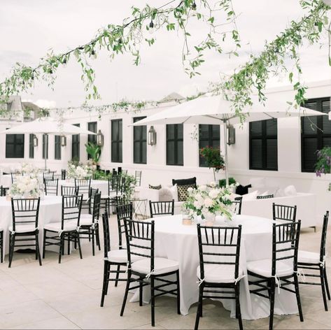 Rachel Autenrieth, White Reception, Wedding Inspo, Classic Black, Wedding Photography, Black White, Table Decorations, Black And White, Photography