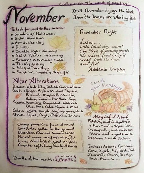 November Magical Correspondences, November Correspondences, Witchy November, November Witchcraft, September Witchcraft, November Witch, Spiritual Essentials, Witch Drawings, November Magick