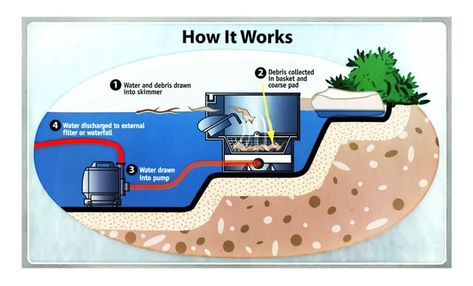 Are you looking to enhance the health and cleanliness of your preformed pond? Adding a skimmer is a great way to achieve that. A skimmer is a device t... Check more at https://www.backyardlord.com/how-to-install-skimmer-on-preformed-pond-liner/ Homemade Pond, Preformed Pond Liner, Preformed Pond, Pond Filters, Pond Liner, Water Drawing, Garden Shrubs, Drain, Step By Step