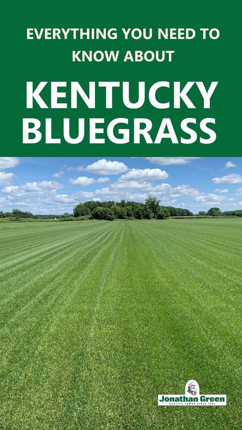 Kentucky Blue Grass Lawn, Kentucky Bluegrass Lawn, Grass Seed Types, Colorado Gardening, Best Grass Seed, Jonathan Green, Stable Ideas, Family Compound, Seeding Lawn