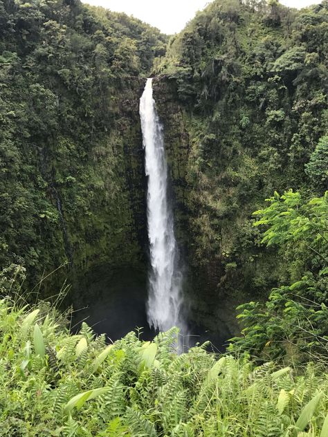 Wondering how to divide your time on Hawaii’s Big Island? Snorkel near Hilo, hike Volcanos National Park, and visit epic waterfalls near Hilo. This 7 day itinerary has it all. Big Island Hawaii | Big Island Hawaii things to do | Hawaii bucket list | Hawaii travel |Hawaii itinerary Big Island Itinerary, Hawaii Vacation Tips, Hawaii Bucket List, 7 Day Itinerary, Green Sand Beach, Hawaii Itinerary, Hawaii Things To Do, Hawaii Big Island, Night Swimming