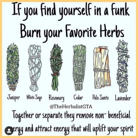 @theherbalistgta on Instagram: “Herbs help in more ways then just eating them. Certain Herbs are useful in burning to get ready of negativity energies. 🔋🔋🔋 ❗ DM Us Today…” Herbs To Burn, In A Funk, Burning Sage, Sacred Plant, Lavender Sage, Healing Herbs, Smudge Sticks, White Sage, Holistic Healing