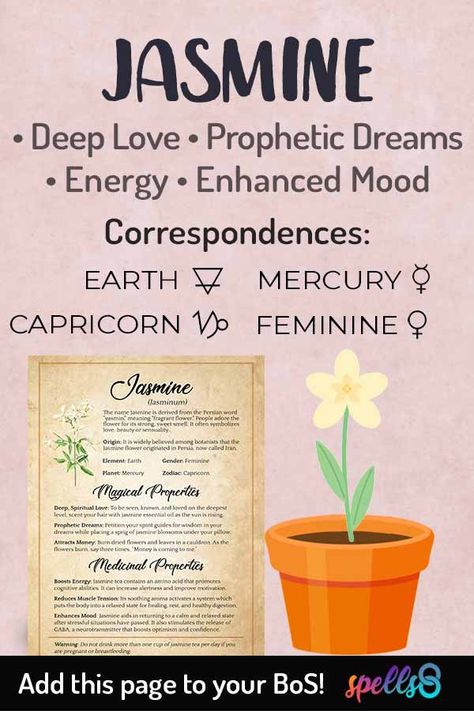 Elemental Correspondences, Witchcraft Stuff, Healing Salve Recipe, Love Rituals, Prophetic Dreams, Witch Spells, Witch Tips, Magickal Herbs, Salve Recipes