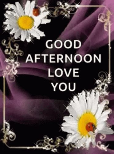 Good Afternoon Love You GIF - GoodAfternoon LoveYou Flower - Discover & Share GIFs Good Afternoon Gif, Good Afternoon My Love, Afternoon Pictures, Afternoon Messages, Gif Cute, Congratulations Quotes, Get Well Messages, Good Morning Kisses, Good Afternoon Quotes