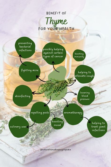 Thyme Benefits, Herbal Benefits, Thyme Tea, Herbs For Healing, Thyme Herb, Tea Blends Recipes, Medicinal Herbs Garden, Food Benefits, Medical Herbs