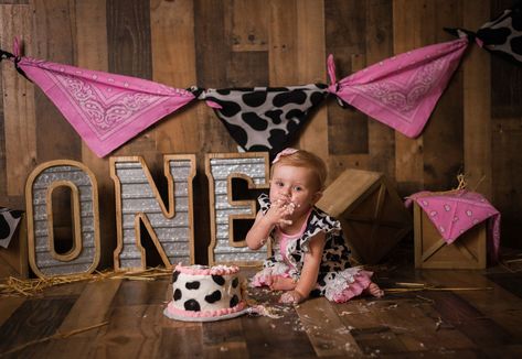 Cow Theme Cake Smash Photoshoot, Cowgirl Smash Cake Pictures, Cow Themed First Birthday Photoshoot, One Year Old Cow Photoshoot, My First Rodeo Birthday Cake Smash, Cow Themed Photo Shoot, Cow Smash Cake Photoshoot, Cake Smash Cow Theme, Cow Theme 1st Birthday Photoshoot