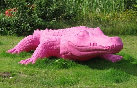 Pink Crocodile Merino Wool Blanket, Free Pictures, Free Photo, Free Photos, Alligator, Lion Sculpture, Sport Shoes, Statue, Google Search