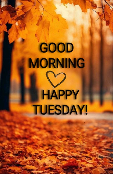 Good Morning Happy Tuesday Blessings, Happy Fall Tuesday, Happy Tuesday Fall, Tuesday Morning Blessings, Tuesday Blessings Mornings, Tuesday Morning Quotes, Tuesday Coffee, Wednesday Morning Quotes, Happy Tuesday Morning