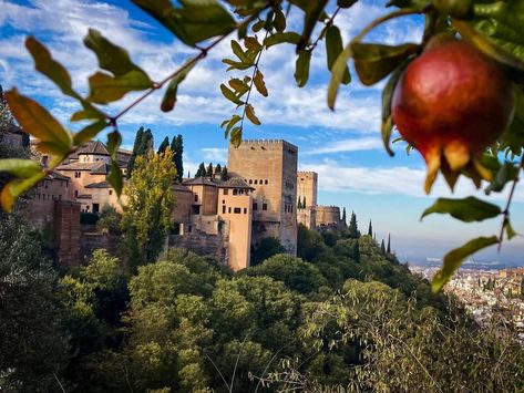 Andalusian Decor, Andalusian Architecture, Alhambra Granada, Al Andalus, Moroccan Art, Scenery Photography, Granada Spain, People Of The World, Andalusia