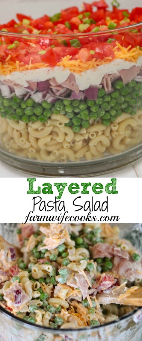 You can change up the ingredient based on what you have in your fridge and your taste. #PastaSalad #Salad Layer Pasta Salad, Layered Pasta Salad Recipes, Layered Pasta Salad 12 Tomatoes, Layered Pasta Salad, Pasta Salad Recipes Cold, Salad Pasta Recipes, Layered Salads, Picnic Salads, Layered Pasta